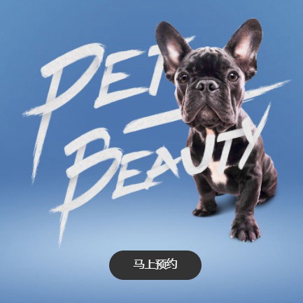 乾安宠物中心小程序开发